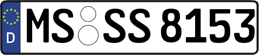MS-SS8153