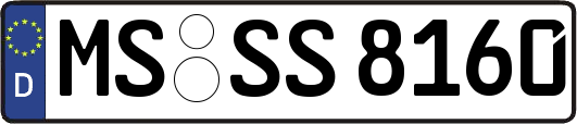 MS-SS8160