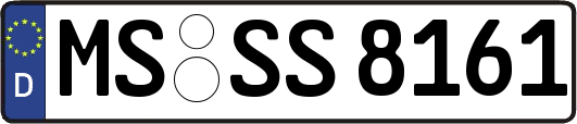 MS-SS8161