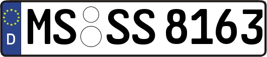 MS-SS8163