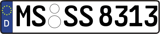 MS-SS8313