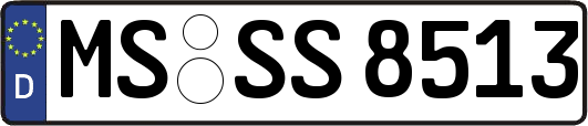MS-SS8513