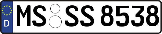 MS-SS8538