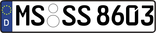 MS-SS8603