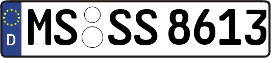 MS-SS8613