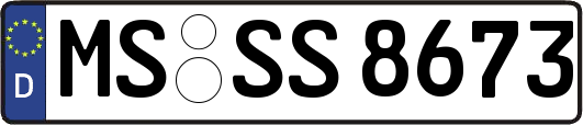 MS-SS8673
