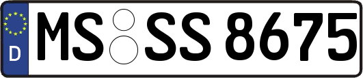 MS-SS8675