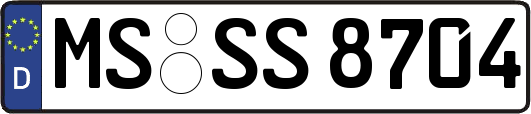 MS-SS8704