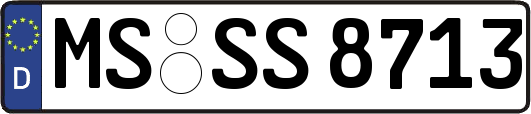 MS-SS8713