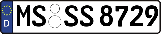 MS-SS8729
