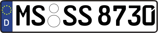 MS-SS8730
