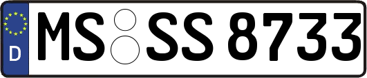 MS-SS8733