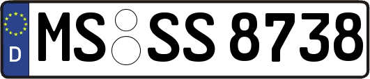 MS-SS8738