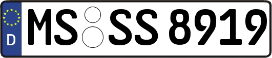 MS-SS8919