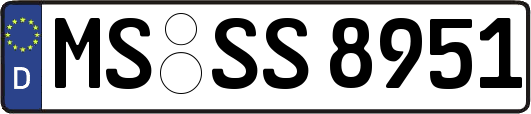 MS-SS8951