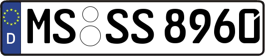 MS-SS8960