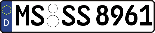 MS-SS8961