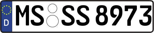 MS-SS8973