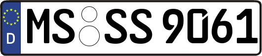 MS-SS9061