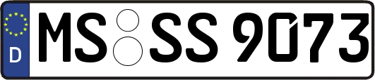 MS-SS9073