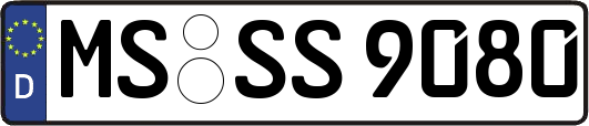 MS-SS9080