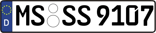 MS-SS9107