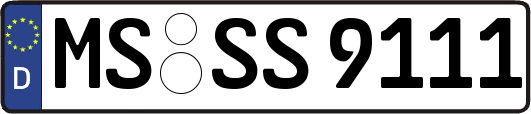 MS-SS9111