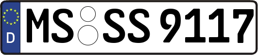 MS-SS9117