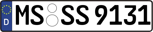 MS-SS9131