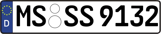 MS-SS9132