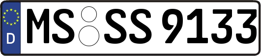 MS-SS9133