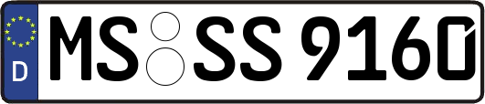 MS-SS9160