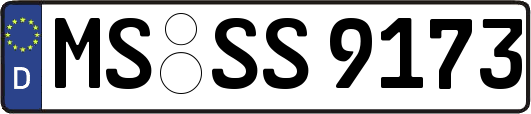 MS-SS9173