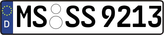 MS-SS9213
