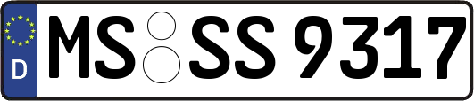 MS-SS9317