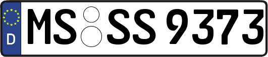 MS-SS9373
