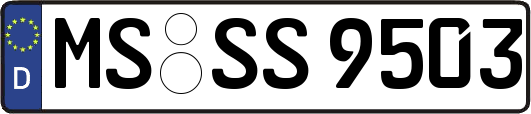 MS-SS9503