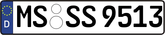 MS-SS9513