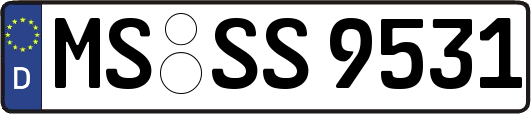 MS-SS9531