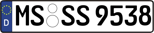 MS-SS9538