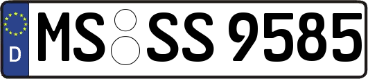 MS-SS9585