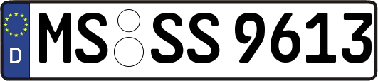 MS-SS9613