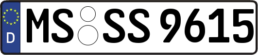 MS-SS9615