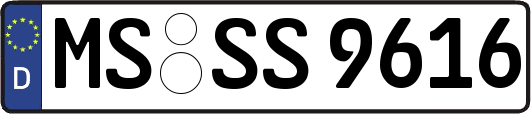 MS-SS9616