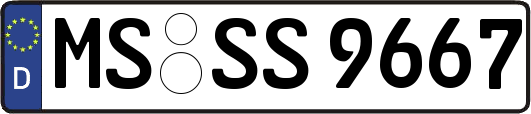 MS-SS9667