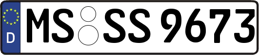 MS-SS9673