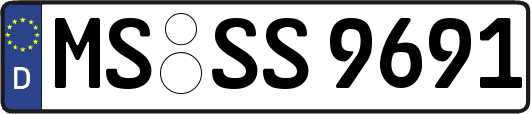 MS-SS9691