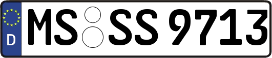 MS-SS9713