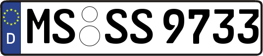 MS-SS9733