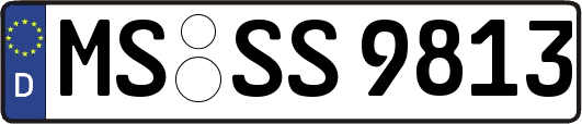 MS-SS9813